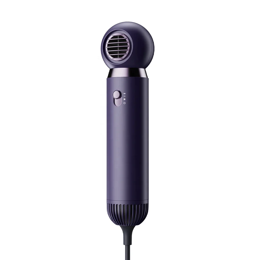 

Hot Blow Dryer High Speed Anti-static Mini Hair Dryer With Diffuser and Condenser Nozzle 1000w Dc Powered Hair Dryers