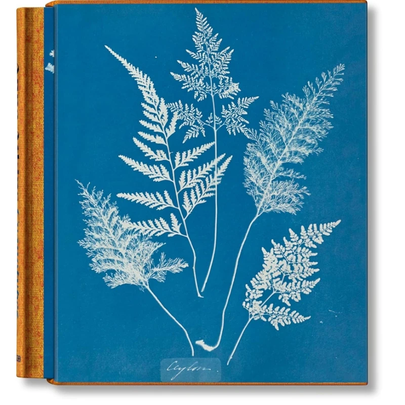 ANNA ATKINS CIANOTIPOS Peter Walther Taschen 9783836596039 Libro