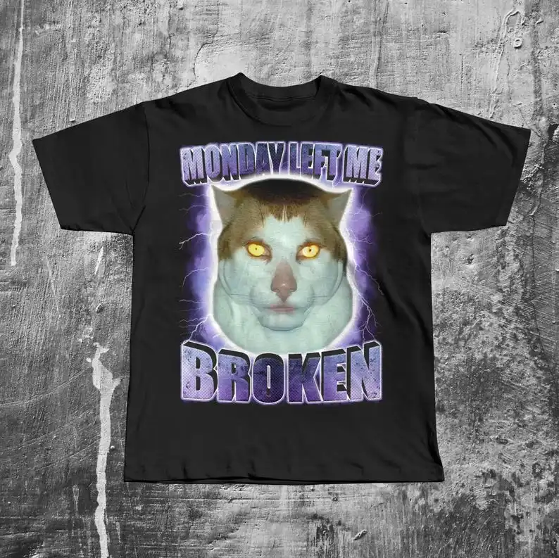 

Monday Left Me Broken Funny Cat Meme T-shirt, Brainrot Tee Shirt
