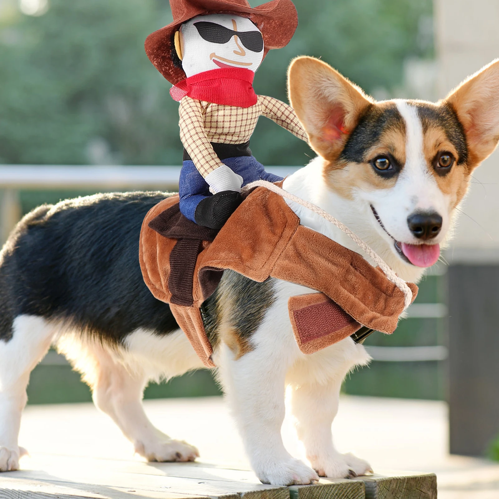 

Pet Funny Clothes Breed Dog Hoodie for Small Dogs Costume Halloween Costumes Portable