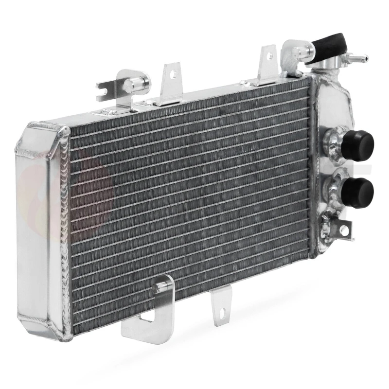Motorcycle Water Tank Assembly Accessories Water-Cooled Radiator for  F800GS F800GT 2007-2018