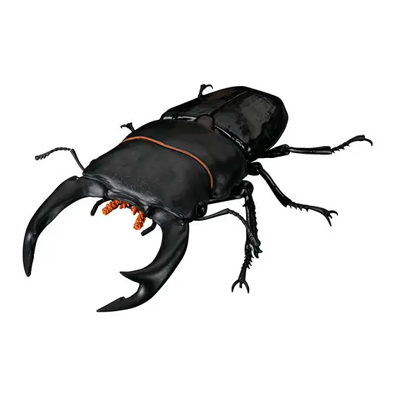 بانداي الحياة الشكل سلسلة الأيل خنفساء 2 الأيل الأحمر سليم الأيل العملاق الأيل خنفساء نماذج جمع الديكور الحلي لعبة الهدايا #5