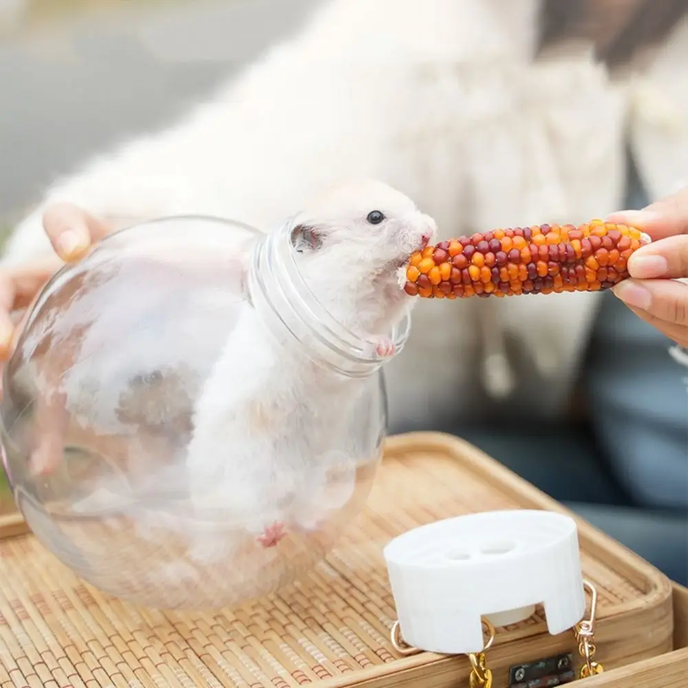 

Plastic Hamster Carrying Cage Breathable Hand-held Crossbody Climbing Pet Bag Transparent Portable Hamster Transport Box Outdoor