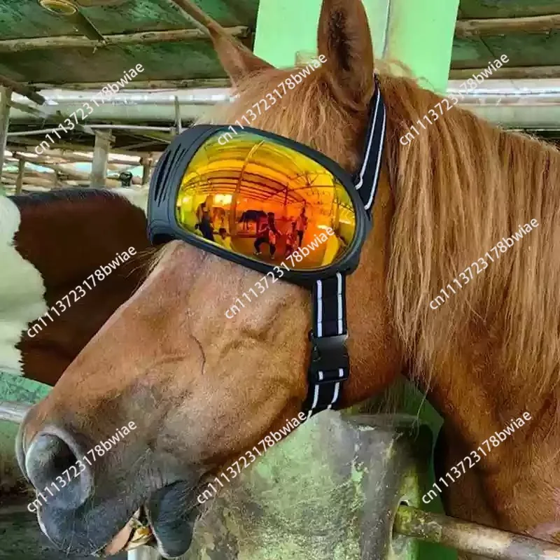 Horse Glasses Outdoor Windproof Riding Horse Goggles Protective Gear, Horse Racing Protective Goggles