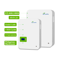 LVFU Power Wall 51.2v 5kwh 10kwh 48 Volt 100ah 200AH Battery Pack Lifepo4 Lithium Ion Battery Home Power Wall 48v