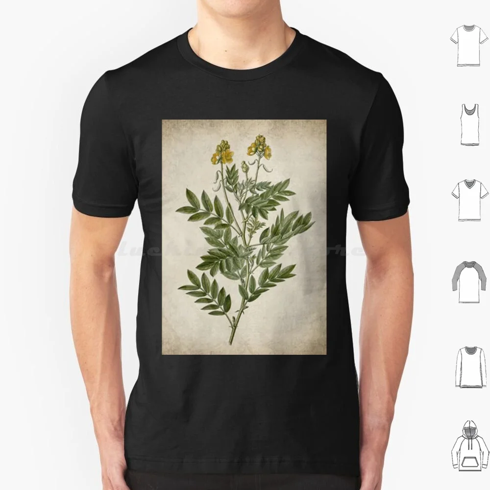Dark Academia Peony Botanica T Shirt 6xl Cotton Cool Tee Dark Academia Botanical Dark Moody Dark Cottagecore Gothic Wicca