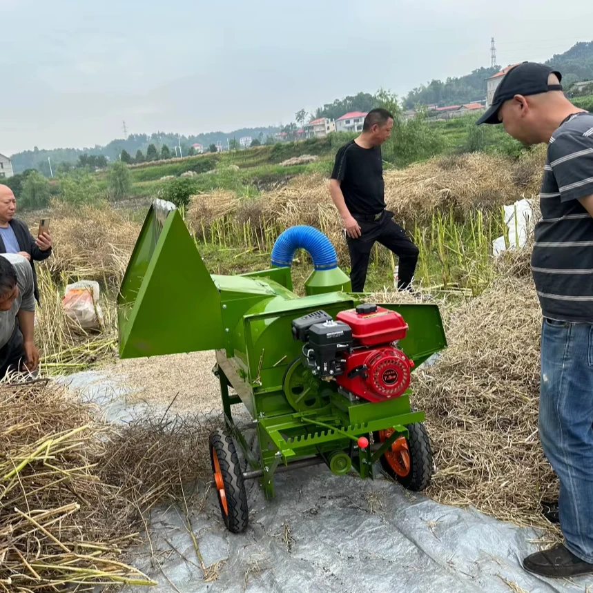 fg-Multi-functional Sorghum Thresher, Diesel Electric Driven,Durable Carbon Steel,Small Soybean Paddy Rice Wheat Peeler