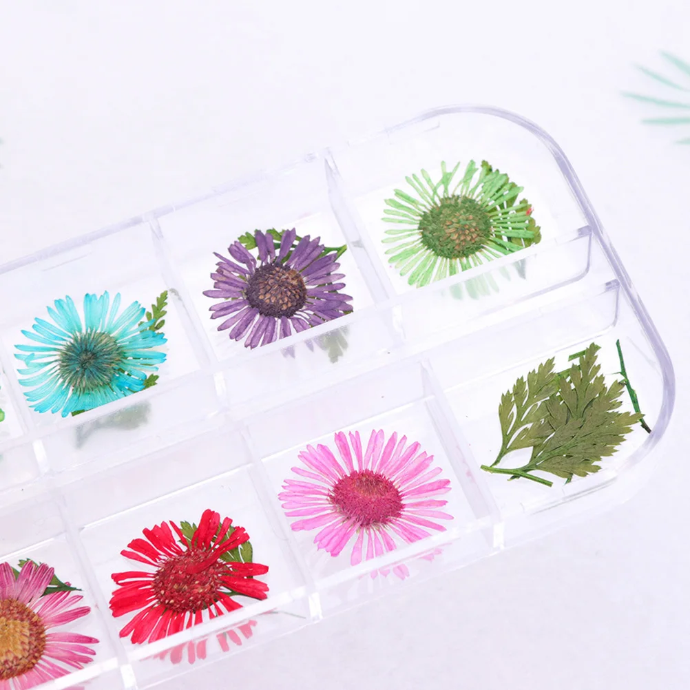 Chrysant Gedroogde Bloemen Set voor Nagels 3D Natuurlijke Bloemen Versieringen Uv Gel Acryl Nail Art Decoraties Kit Thuis Salon