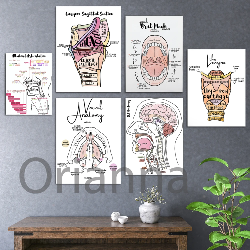 Anatomy Brain To Larynx Labeled Poster,Anatomy&Physiology Labeled Prints Anatomy And Place  Wall Art Canvas Painting Decoration