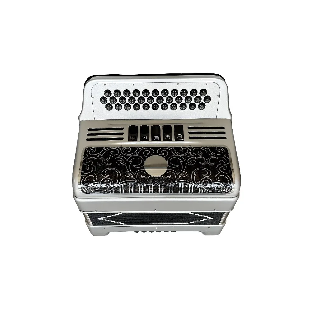 أداة الأكورديون Diatonic المهنية OEM 34 أزرار 12 باس 5 سجلات الجسم الفضي الأسود الفضة شواء JB3412D