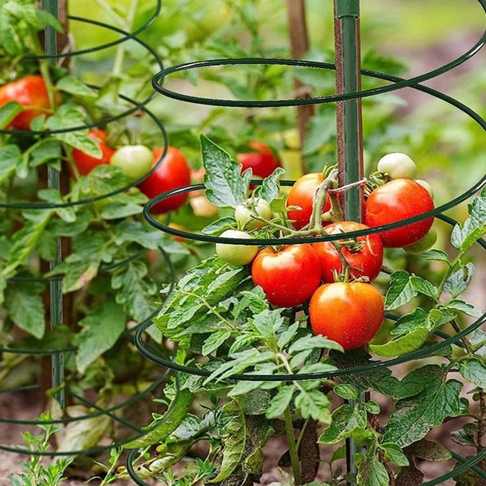 

1Set Plant Climbing Trellis Strong Anti-Wear Material Potted Plants Indoor Outdoor Garden Supplies Indoor Plant Trellis