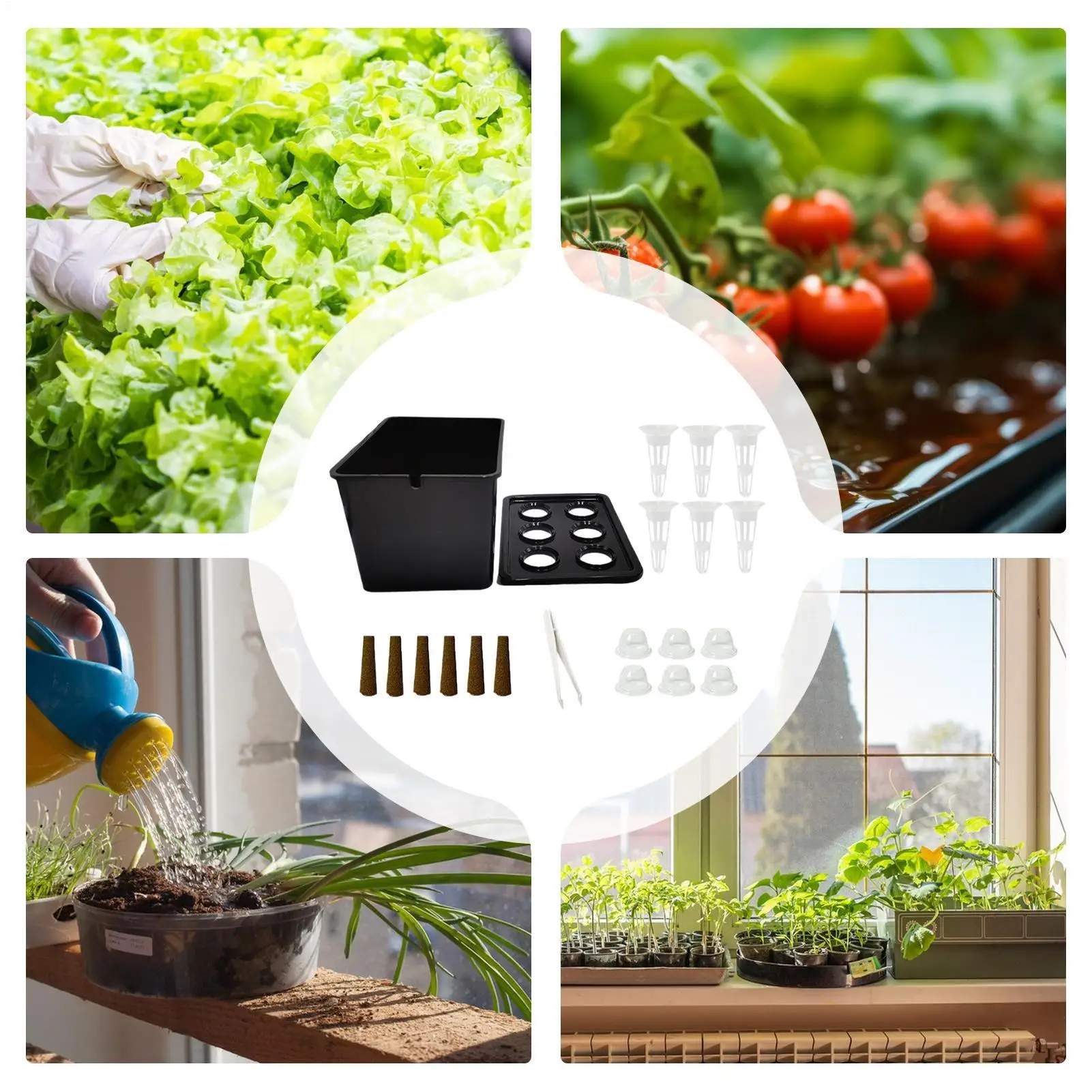 

hydroponic seedling starter kit, indoor soilless vegetable and herb growing system, perfect for balcony gardening