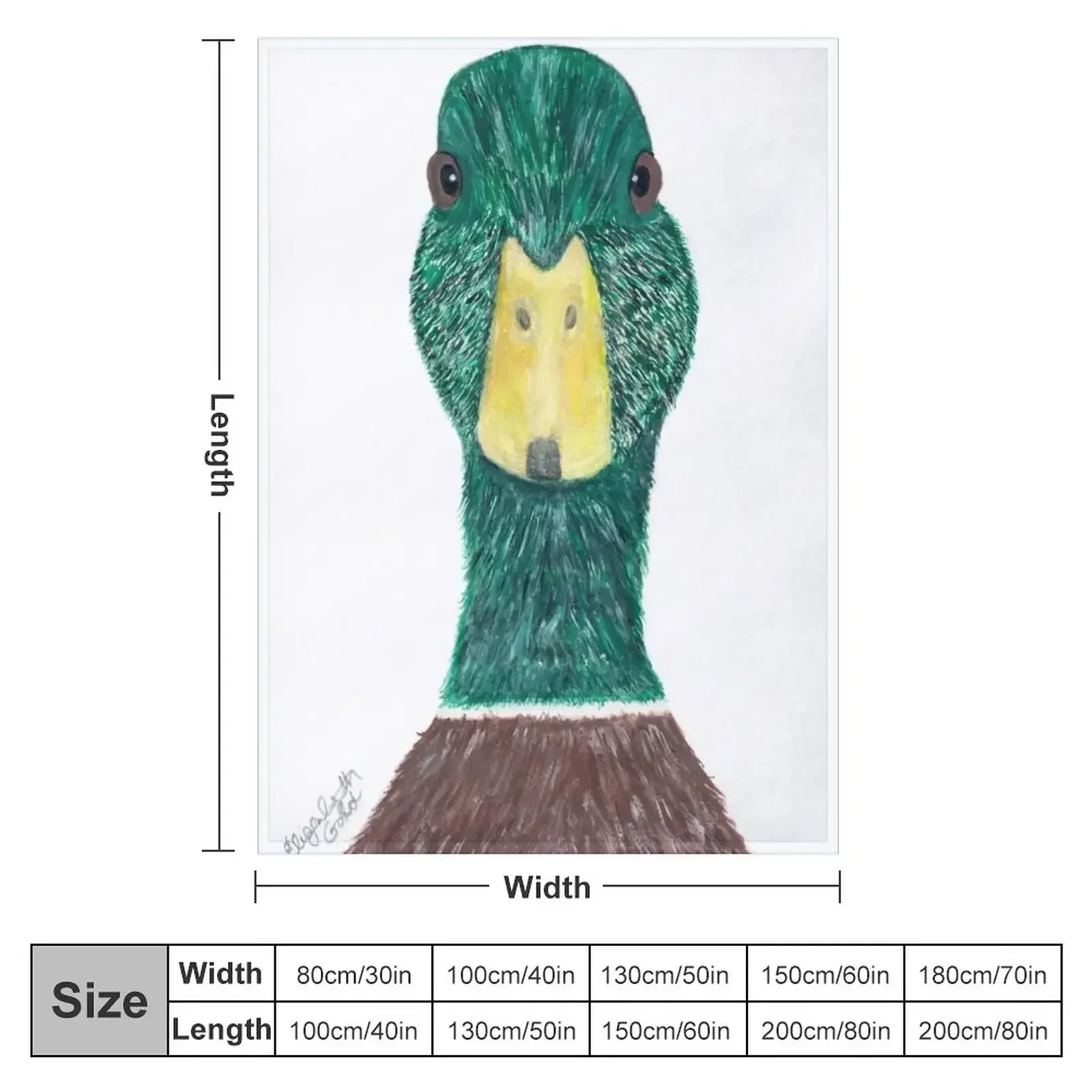 New Wild Green and Brown Male Mallard Duck with Yellow Beak Print...Quack! Throw Blanket funny gift Blankets