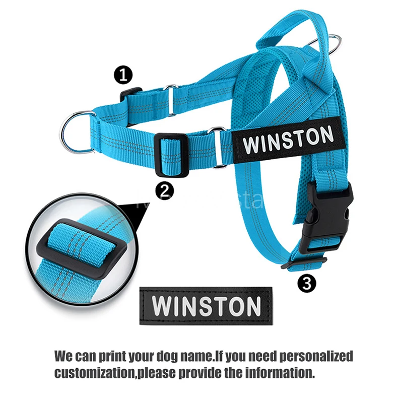 Custom Name No Pull Dog Harness Elastic Buffer Leash Set Adjustable Reflective Nylon Walking Lead for Small Medium Large Dogs