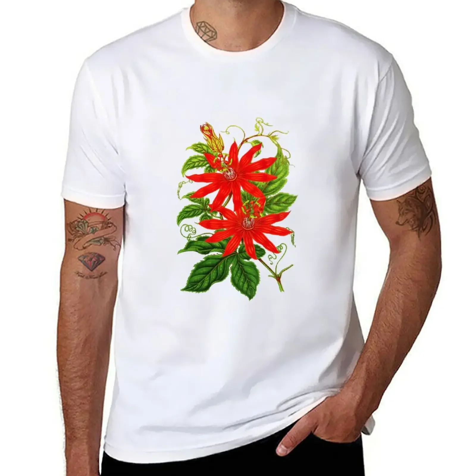 Passiflora vitifolia - Botanical Illustration T-Shirt plus sizes sweat customs t shirts for men pack mens t shirt herren clothes