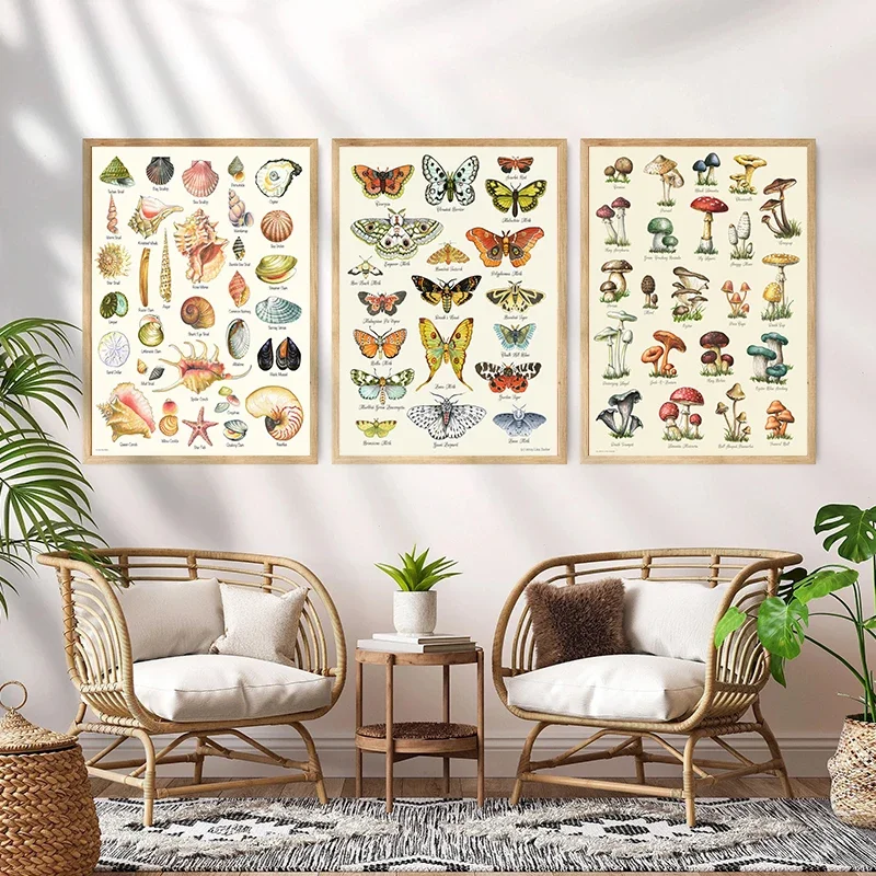 Vintage Butterfly Insects Fungi Shell Collection Chart Poster Prints Canvas Printing Wall Art Picture for Living Room Home Decor