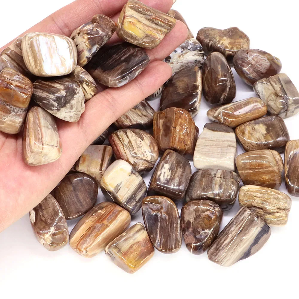 Natural Gemstone Stromatolite Reiki Crystal Healing Tumbled Stones Energy Specimen Minerals Rock Garden Aquarium Home Decoration