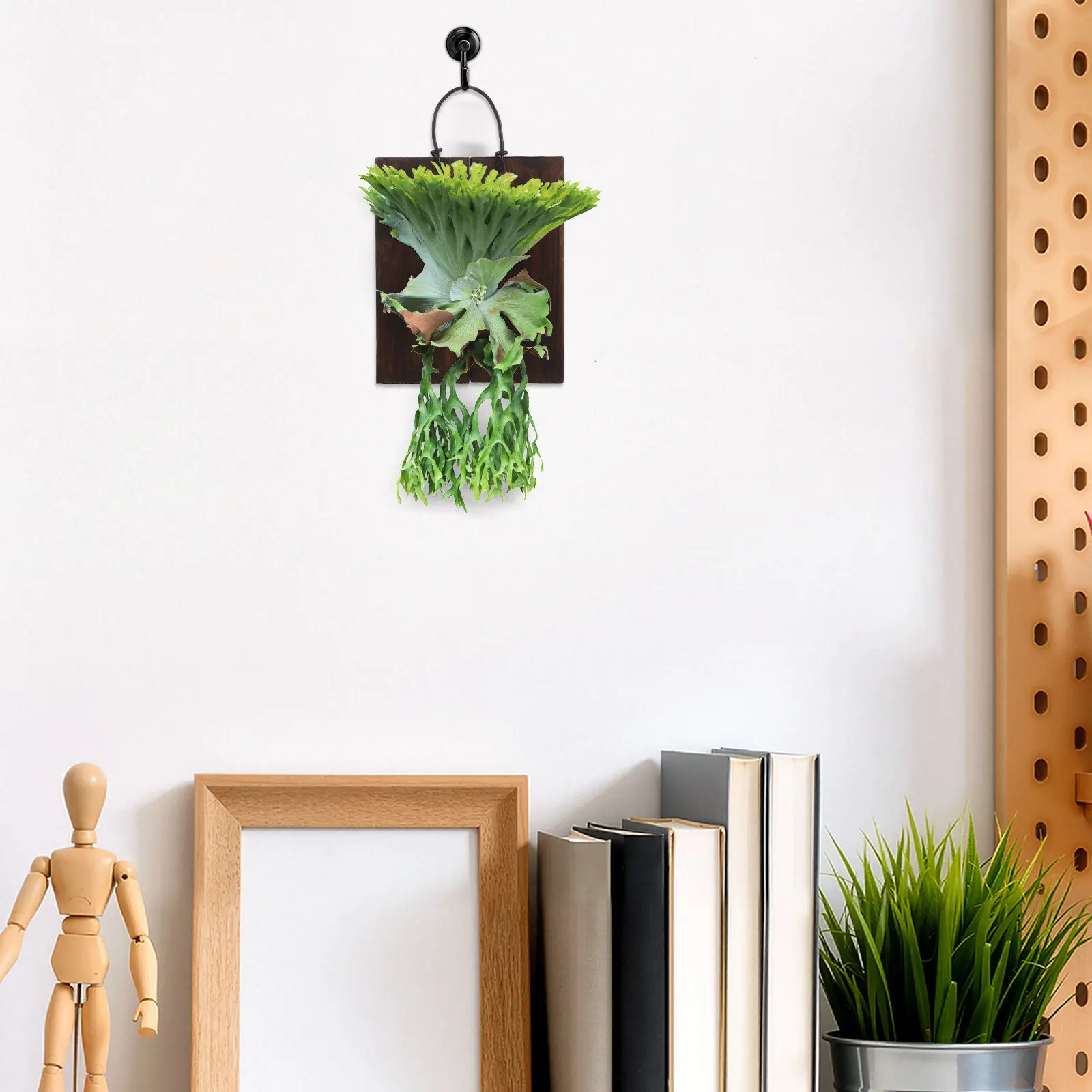 Staghorn Fern Mounting Board V - огляд і ціна Vertical Planter