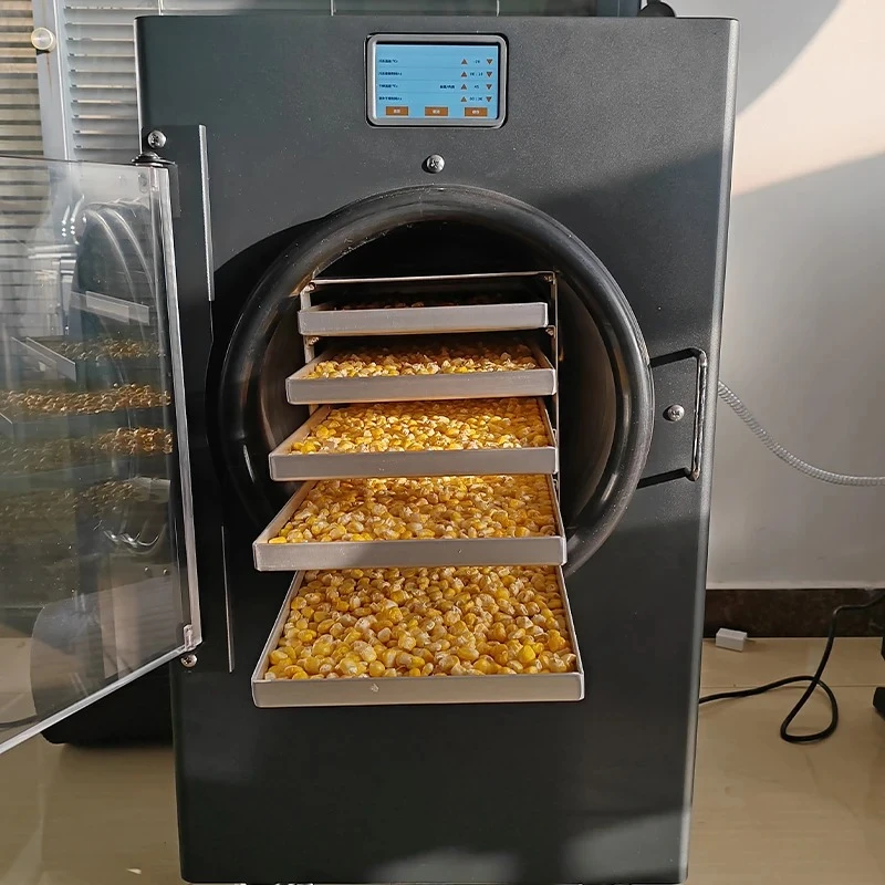 Small Mini Space Saving 470*630*810mm Easy to Operate Vacuum Lyophilizer Freeze Dryer Machine for Food Fruit Drying at Home