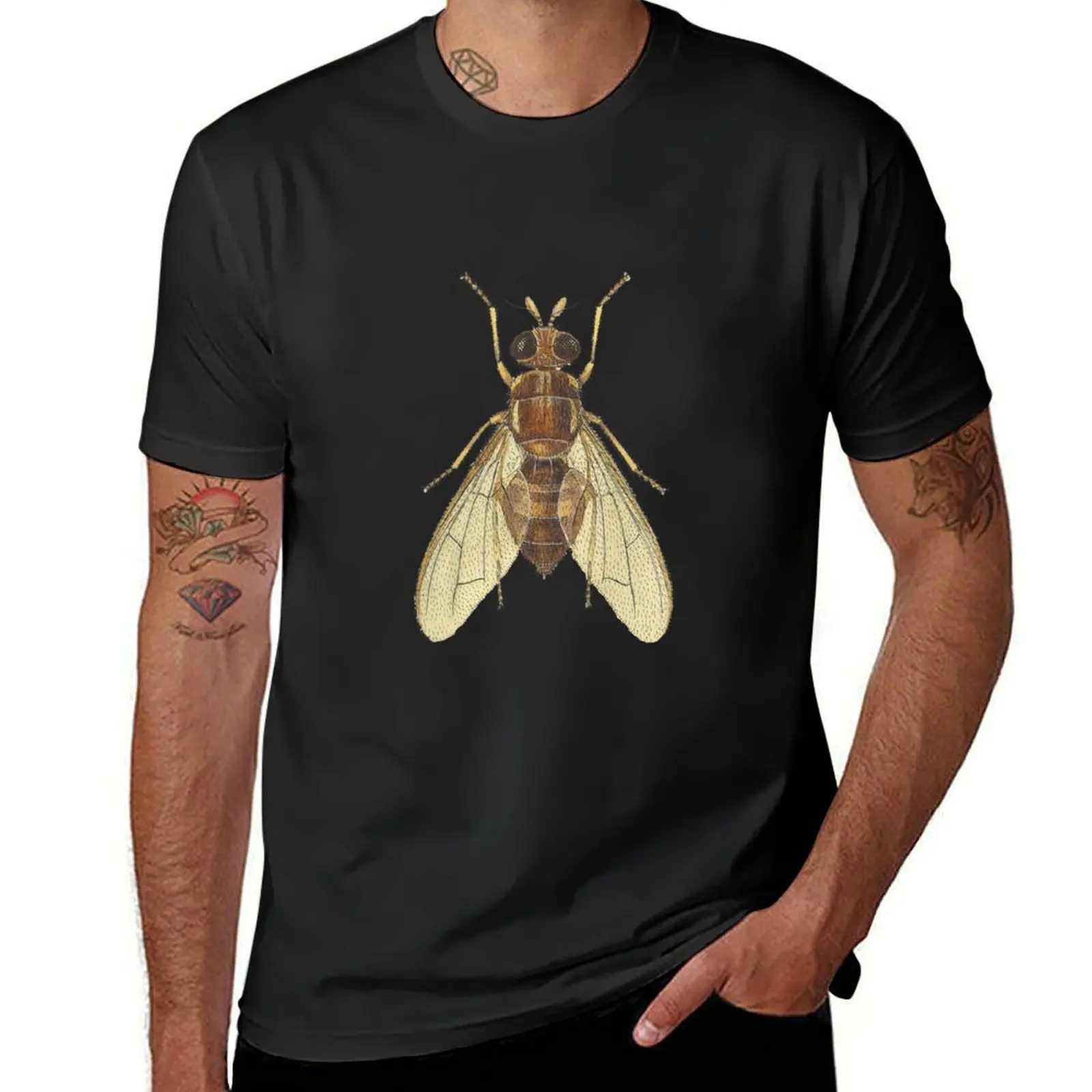 The Queensland Fruit Fly (cut-away) T-Shirt quick drying sublime summer top Blouse mens clothes