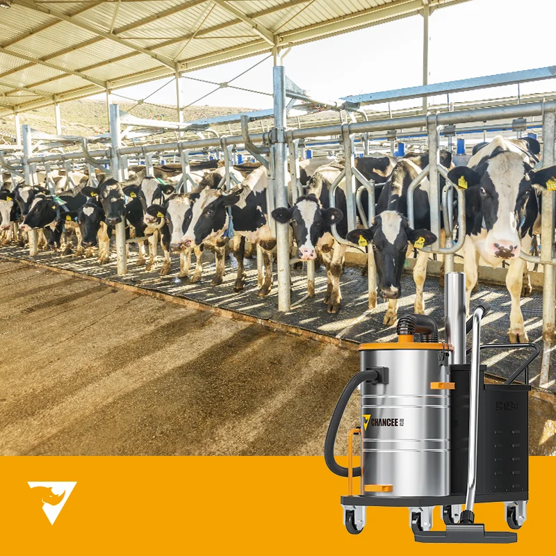 

Professional Carpet Cleaning Machine Electric Wired Small Silent Quiet Carpet Vacuum Cleaner For Home Floor