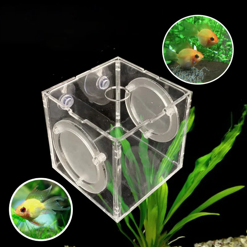 

Small Fish Hatching Box Acrylic Fish Tank Hatching Container Guppy Isolation Box Aquarium Supplies 8X8X8cm