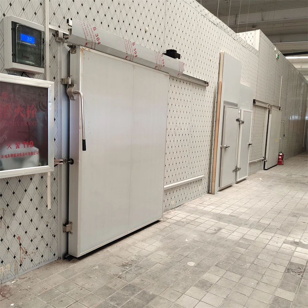 

Cold Room Storage Hinge Door Cold Room Sliding air Tight Door Panel Door for Cold Storage Room with Resistance