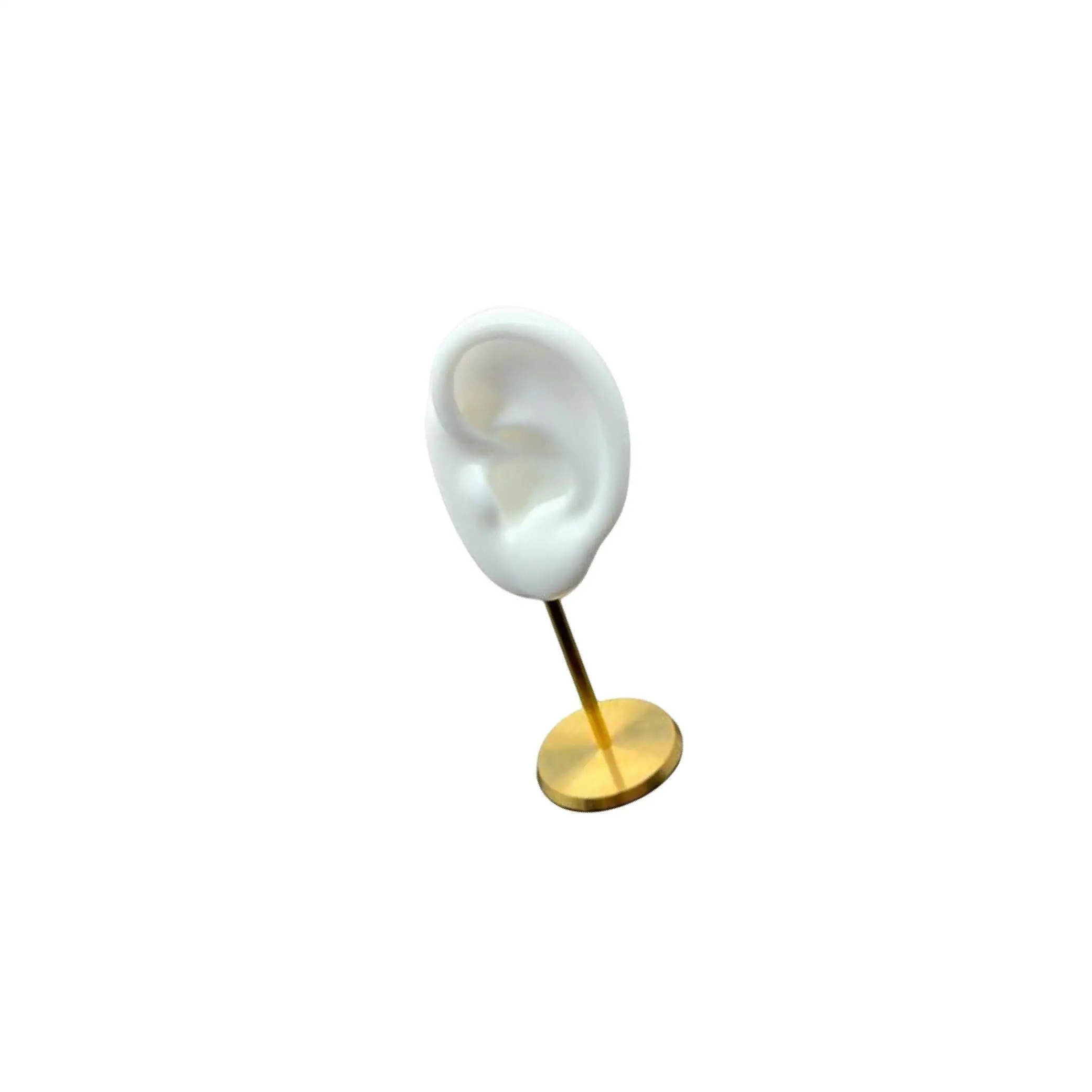 Earring Display Stand Ear Model Stud Holder with Base for Birthday Showcase
