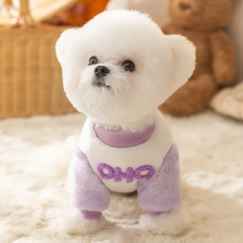 Autumn and Winter Dog Sweater Puppy Colorful Letter Pullover Teddy Two Legged Clothes Fashion Pet Clothing