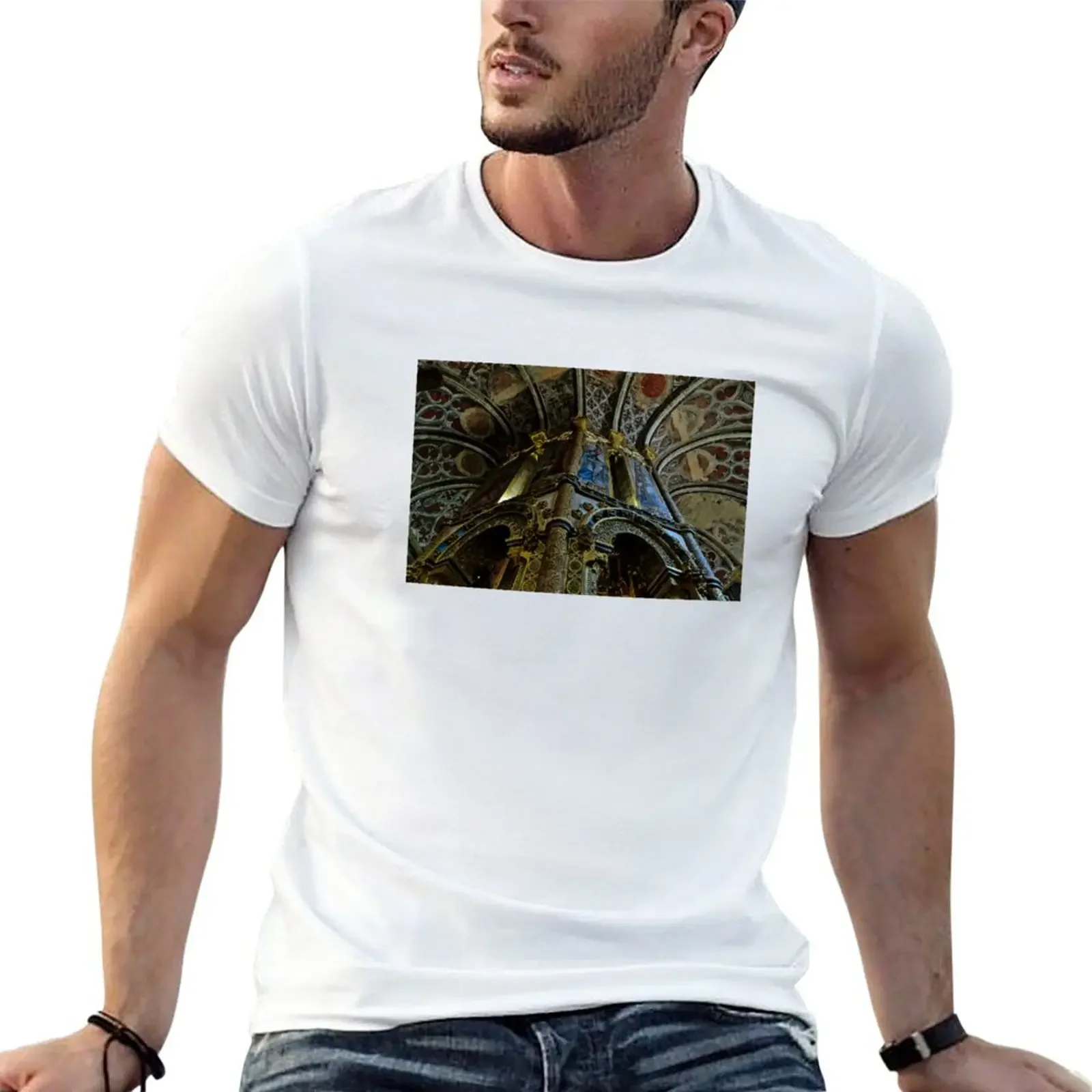 New Ceiling of Convento de Cristo in Tomar T-Shirt Short sleeve shirts graphic tees summer tops men workout shirt