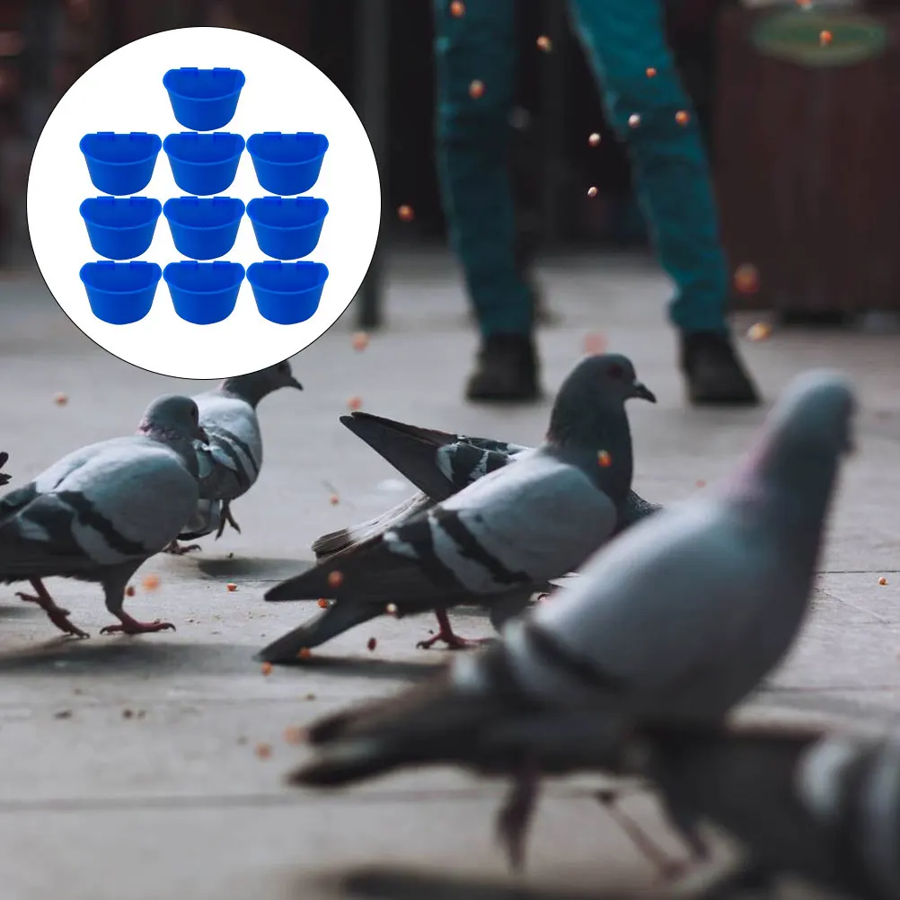 

10 Pcs Health Sand Cup Bird Feeder Bowl Pigeon Water Cage Dispenser Supply Cups