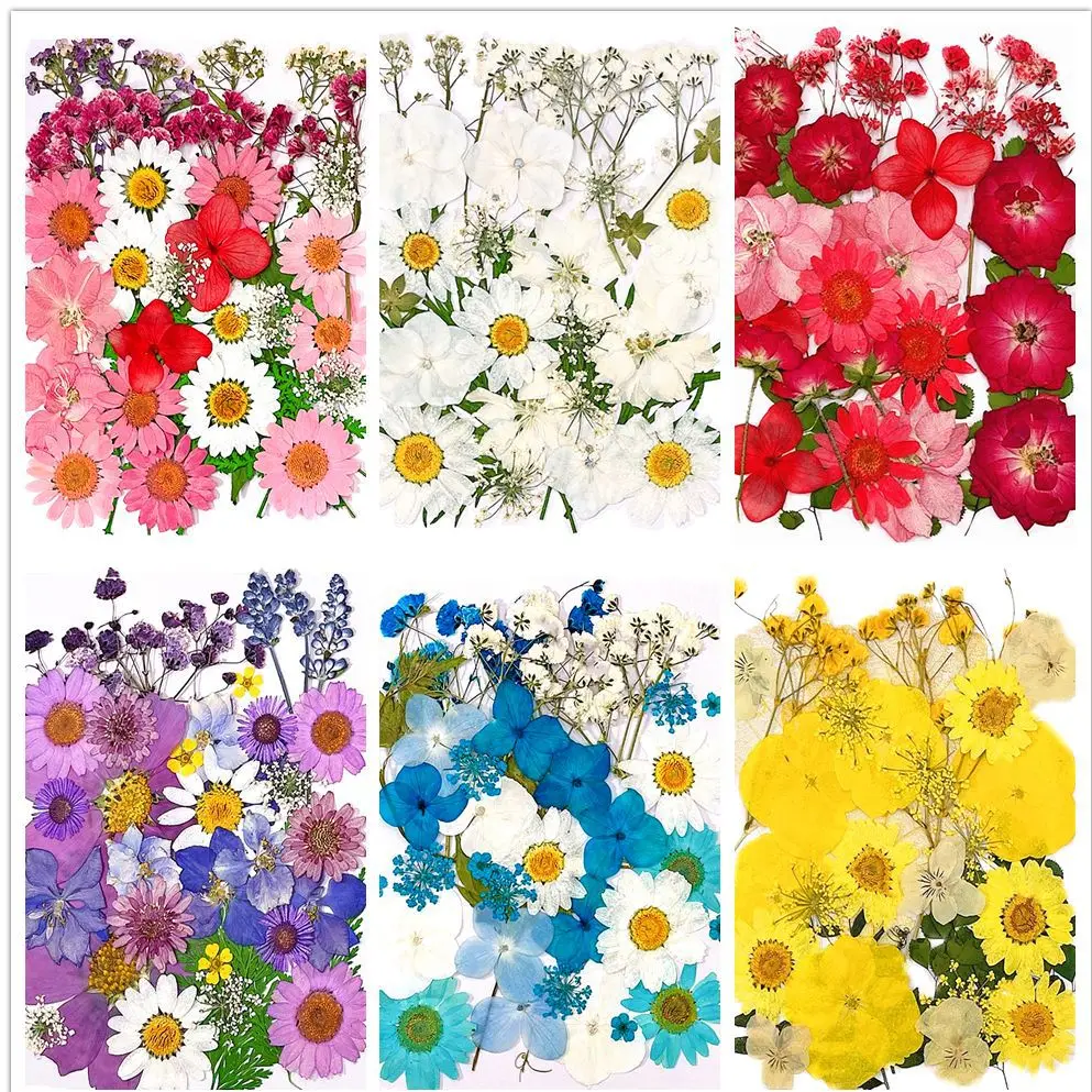 Handmade Photo Frame Bookmark Resin Phone Case Colorful Embossing Material Pack Beauty Face Stickers Combination Pack Decorative Dried Flower Embossing DIY