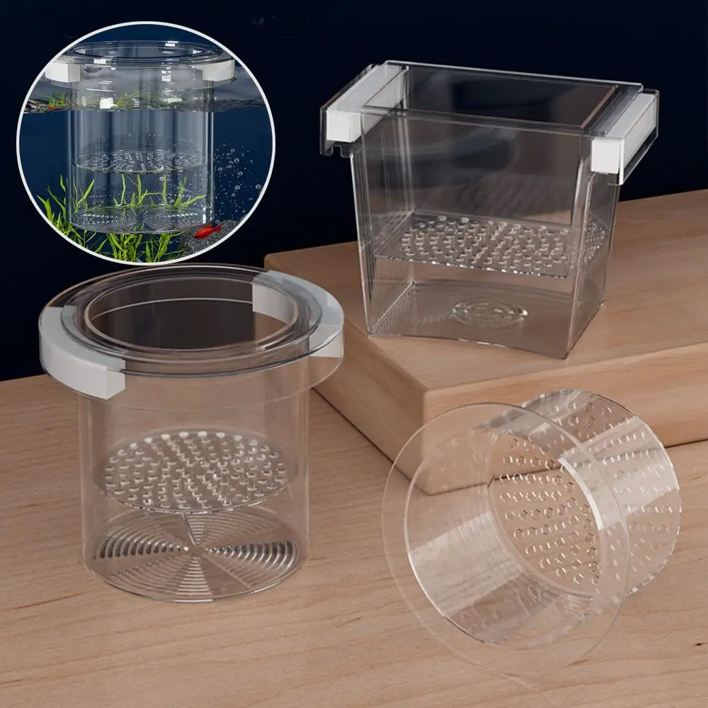 #17 Cheapest Fish Feeders Deals You Can Get