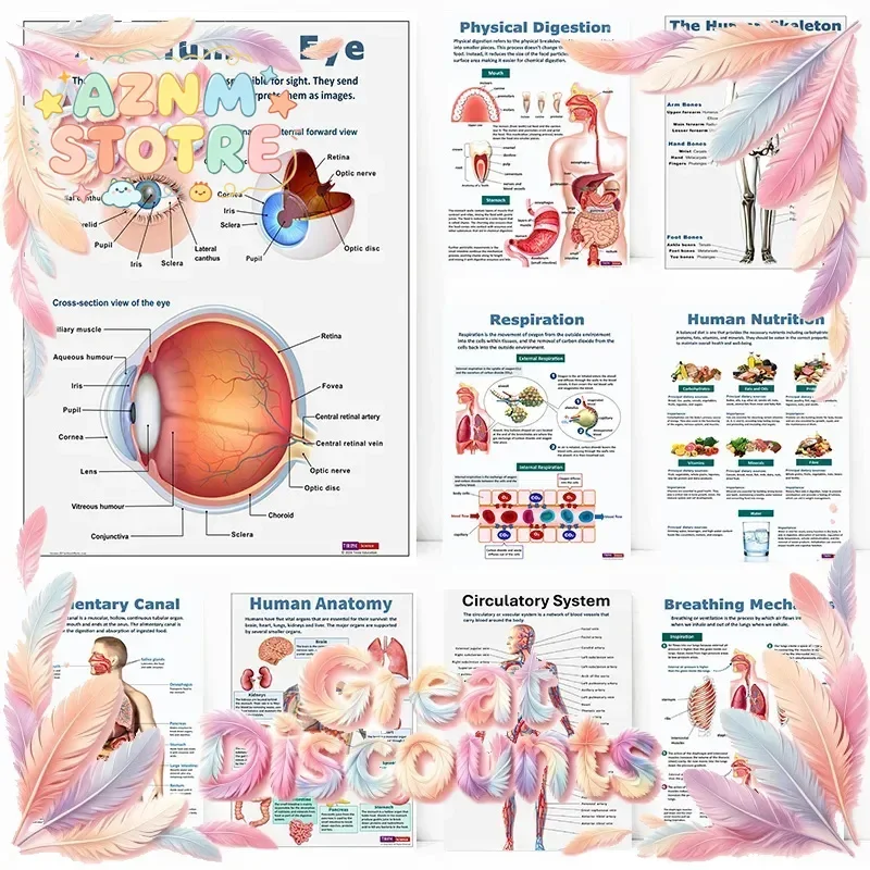 Anatomy Science Physical Human Biology Eye Skeleton Breathing Mechanics Poster Wall Art Pictures Canvas Painting Room Home De