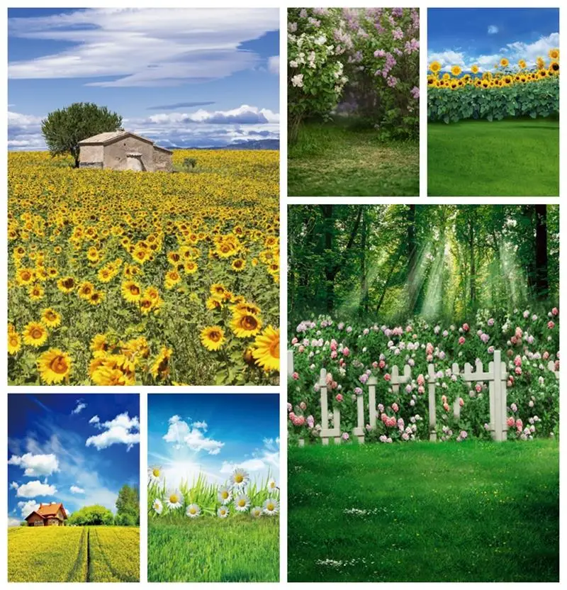 Laeacco Sunflowers Field Backdrop Beautiful Rural Stone House Big Tree Natural Scenery Kid Adult Portrait Photography Background