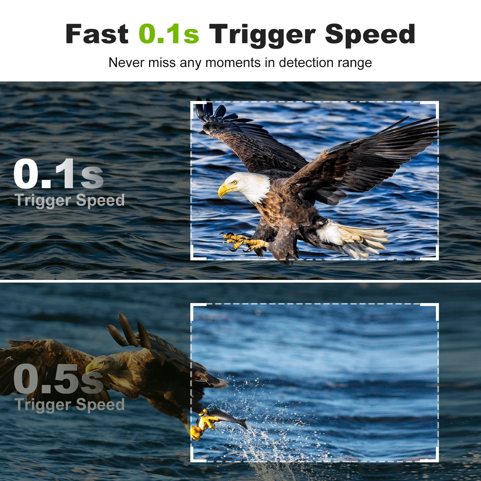 كاميرا درب لاسلكية خارجية ، كاميرا صيد للحياة البرية ، رؤية ليلية بالأشعة تحت الحمراء ، تمكين واي فاي ، IP66 مقاوم للماء ، 32 ميجابكسل