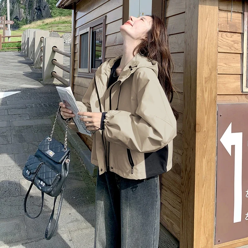 سترة نسائية قصيرة بغطاء للرأس محظورة الألوان لربيع 2025 فاخرة غير رسمية فضفاضة تناسب أنيقة صغيرة الحجم ودية