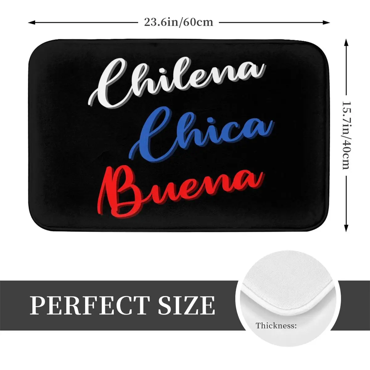 Chilean Flag Good Chick Chilena Chica Buena Anti-slip Doormat Floor Mat Carpet Rug for Kitchen Entrance Home Bedroom Footpad Mat