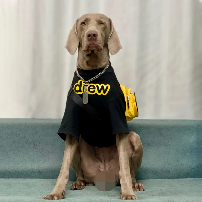 

Spring Summer Outside Short Sleeve Big Dog Clothes Golden Retriever Labrador Outfits Fashion T-shrit for Medium Large Dogs