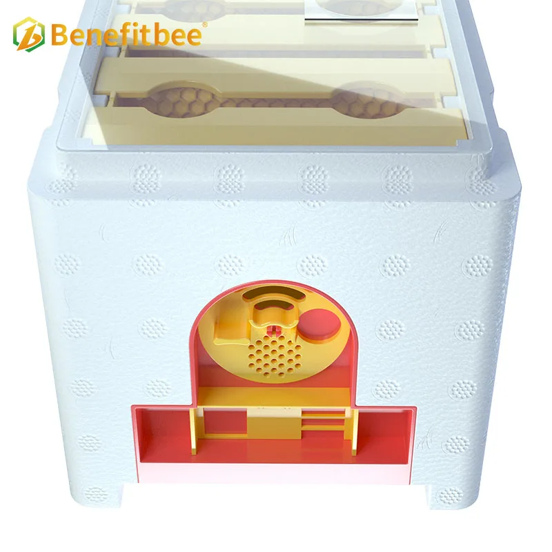 Benefitbee تصميم جديد Mini Hives Kit Queen Bee Mating Box #4
