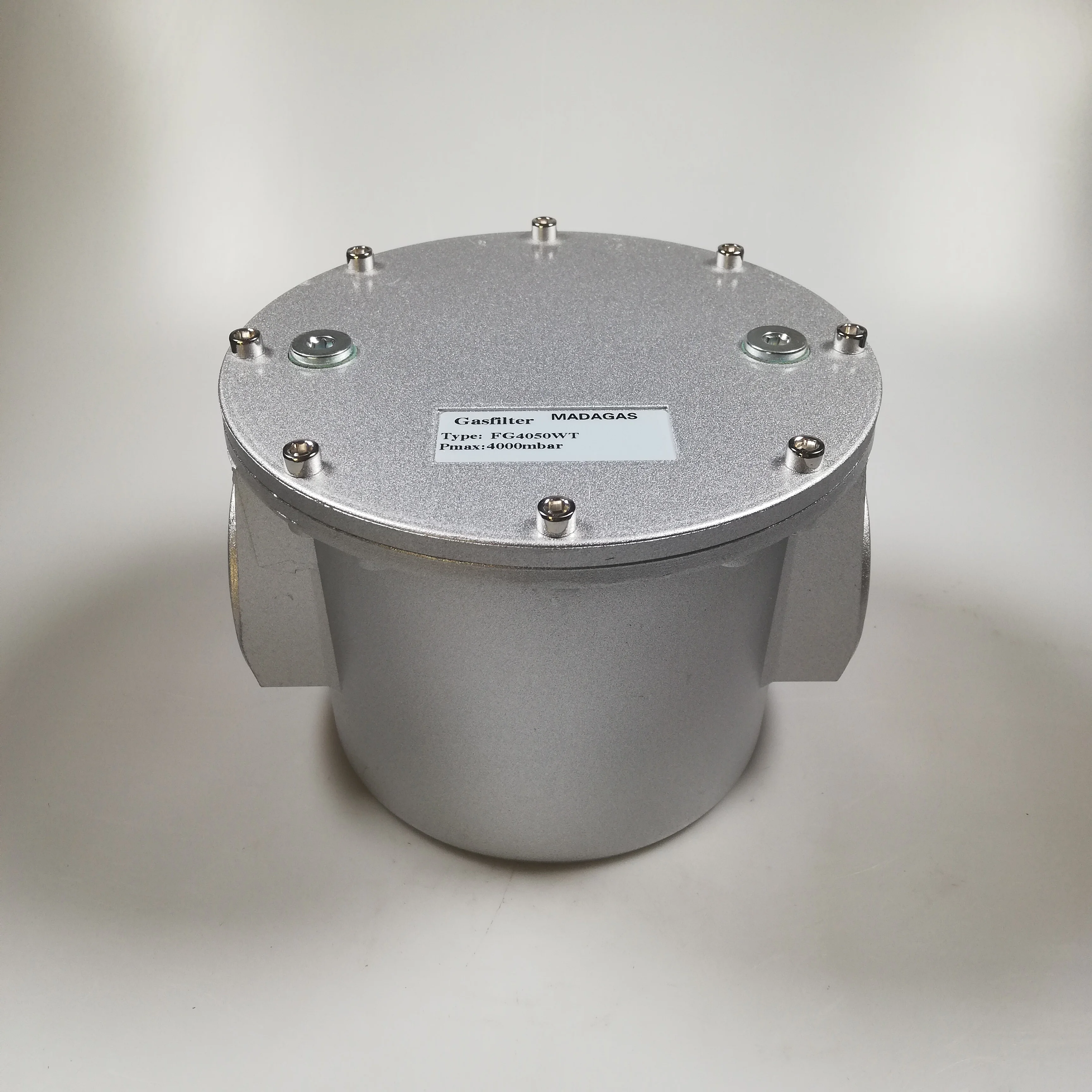 Italy Natural LPG Gas Pipeline Filter FG4025WT FG4040WT FG4050WT FG4032WT FG4020 Genuine OEM Parts Stainless Steel Filter Elemen