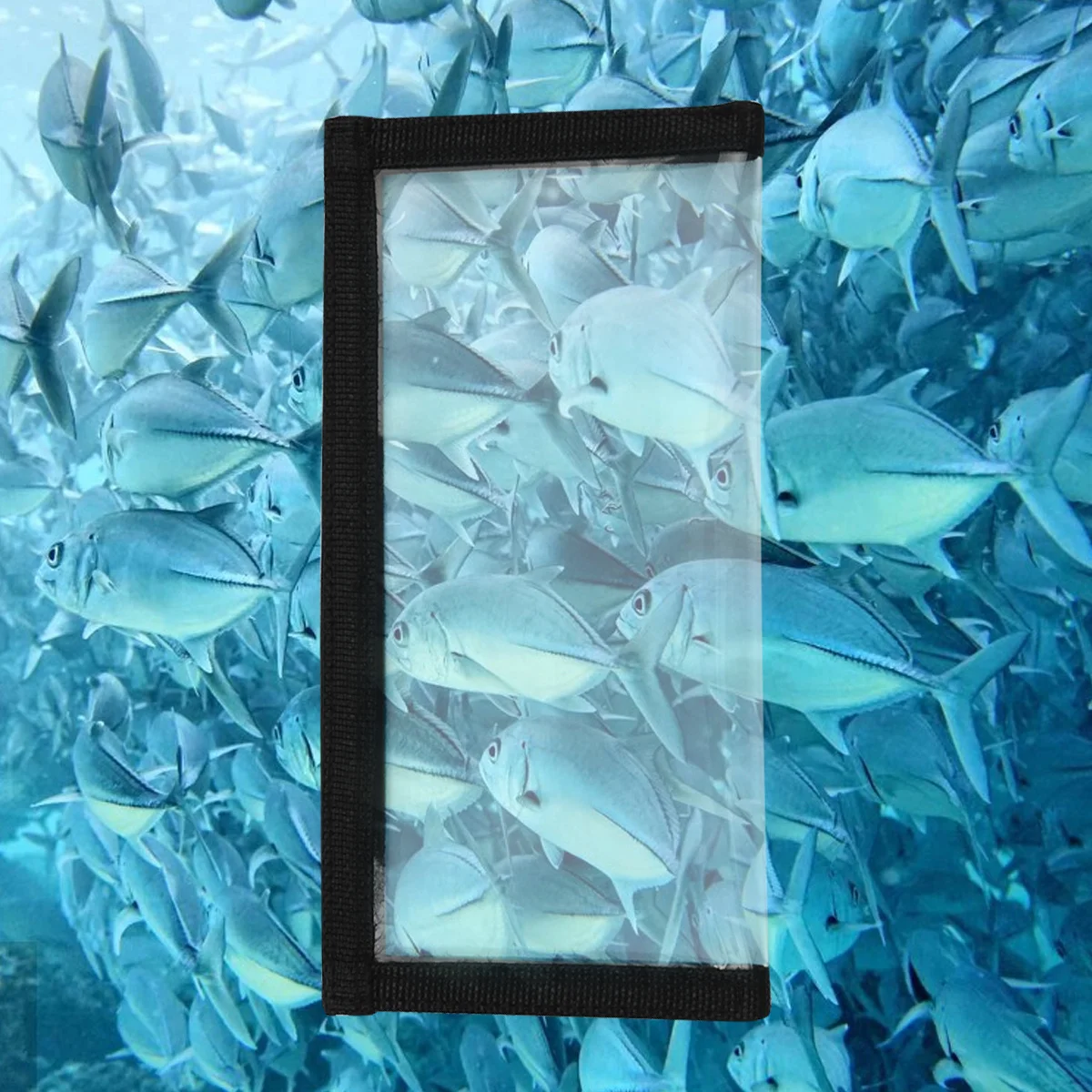 5 قطعة إغراء شفاف يلتف حلقة هوك قوية مخيط البناء إغراء تخزين لملحقات الصيد في الهواء الطلق