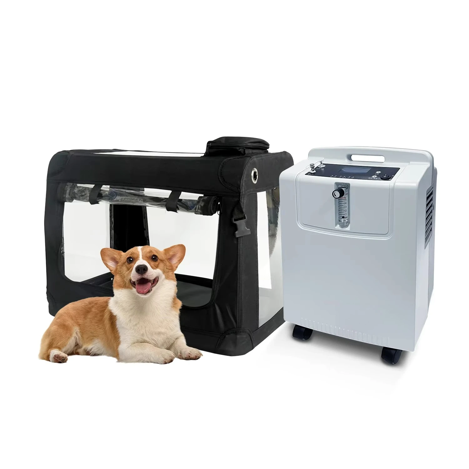 Medical Grade 5L Veterinary - Recommended Oxygen Concentrator for Home Care and Clinics Professional Pet Oxygen Supply Syste