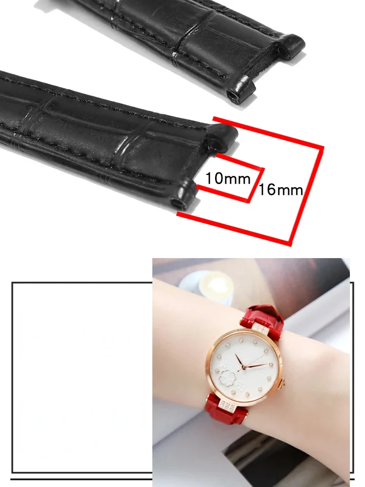 حزام ساعة من الجلد الطبيعي أنثى لساعة Tianwang Ls5871 \5870 سلسلة زهور طازجة محفوظة Ls51043 سوار ساعة أحمر أزرق