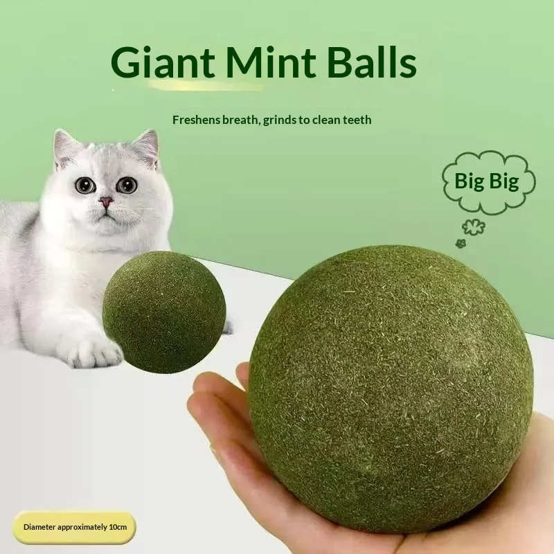 Catnip Ball Extra Large Cat Toy 10cm Giant Ball Self-Entertainment Stress-Relief Tool for Kitten Play Pet Supplies