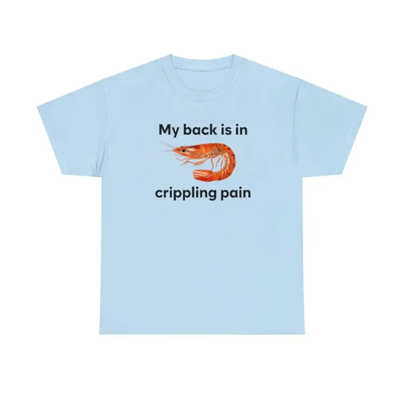 My Back Is Is In Crippling Pain Funny T Shirt Unisex