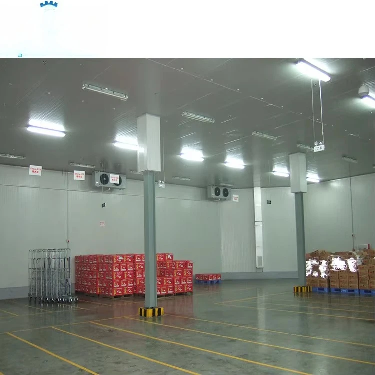 Cammina nella stanza fredda Refrigerazione per riporre il congelatore da 10 a 100 tonnellate Prezzo per carne Pesce Pollo Cipolla Verdura Frutta