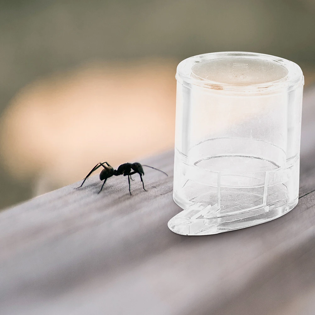 

2 Pcs Pet Water Feeder Ants Feeding Dispenser Farm Feeders Nest Area Drinker Waterer Bowl Bottle