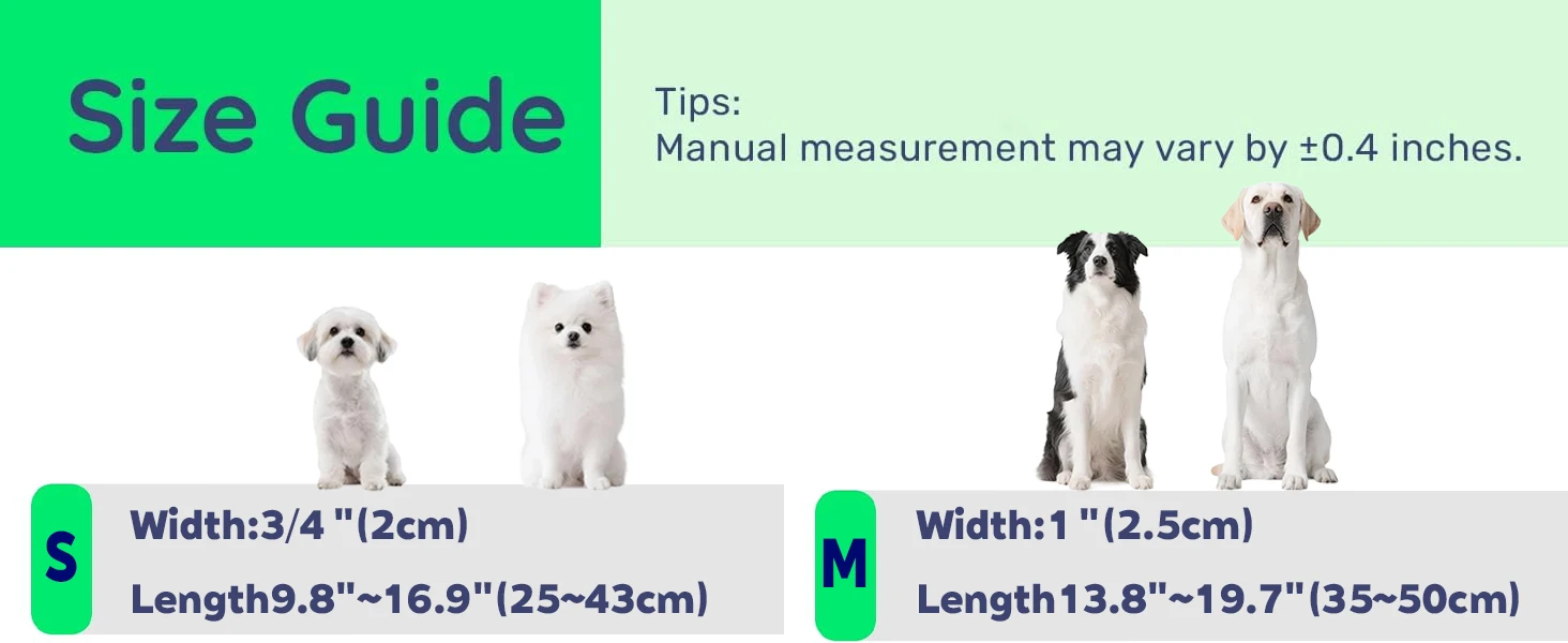 Taakcc Reflektierendes Hundehalsband mit Leuchtendem AirTag-Halter, Wasserdicht, Weich Gepolstert & Sicherheitsschnalle, AirTag-Tracker-Hülle für Halsbänder – Detail 1