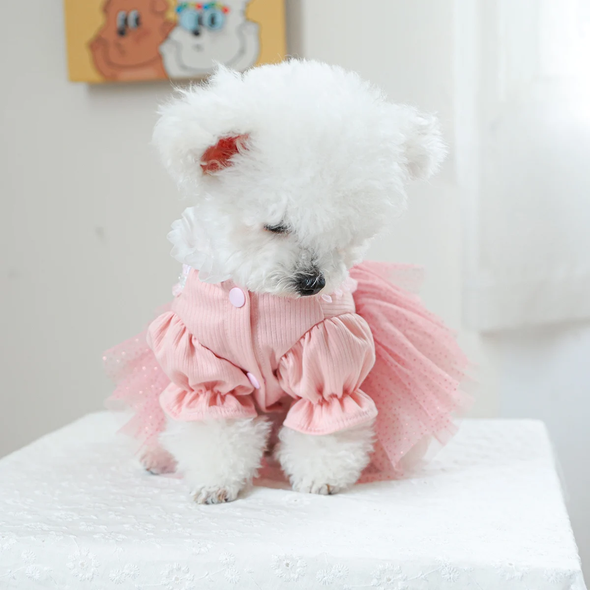 1PC Pet Clothing Spring and Autumn Pink Love Dress Wedding Princess Dress Suitable for Small and Medium sized Dogs